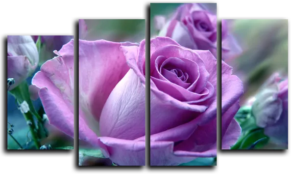 Модульная картина "Фиолетовая роза"