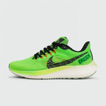 кроссовки Nike Air Zoom Pegasus 39 Green Ekiden