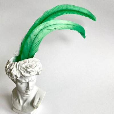 Перья петуха зеленые 30 -35 см. за штуку