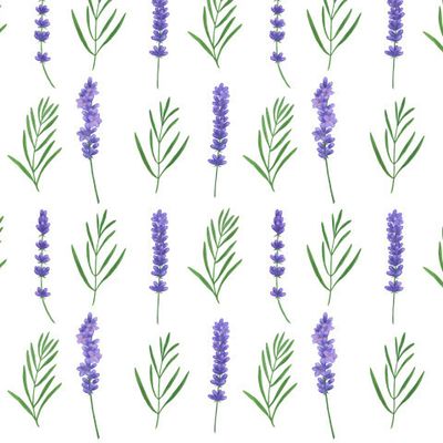Лаванда акварель