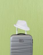 Чемодан на колесах PADUA