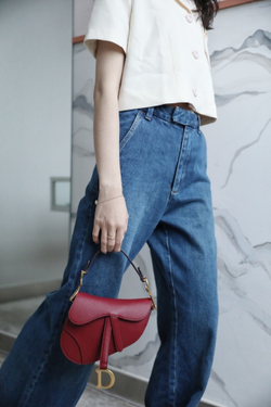 Christian Dior Saddle Bag 21 cm