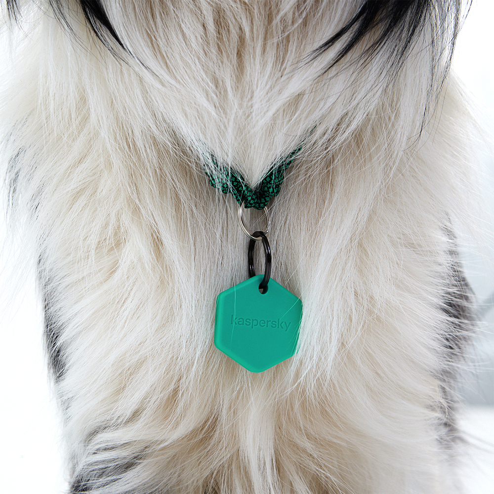 Умный трекер PetKa (GPS BLE)