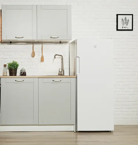 Морозильная камера Indesit DSZ 4150.1 – 11