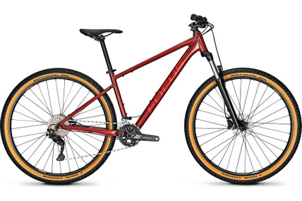Focus Whistler 3.7 - 29 Zoll - Diamant - 2025