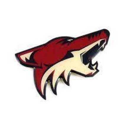 Arizona Coyotes