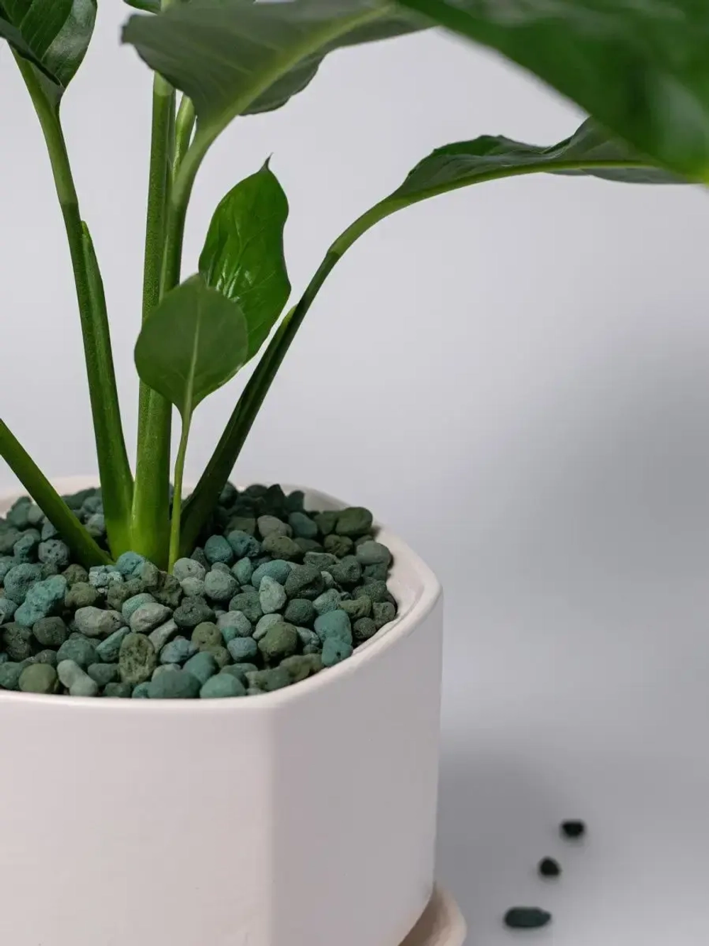 Дренаж для цветов и растений микс зелёный