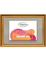 Рамка для постера и фотографий 50x85