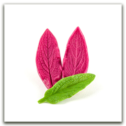 Листья окопника малые