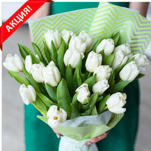 Купить Букет 21 белый тюльпан