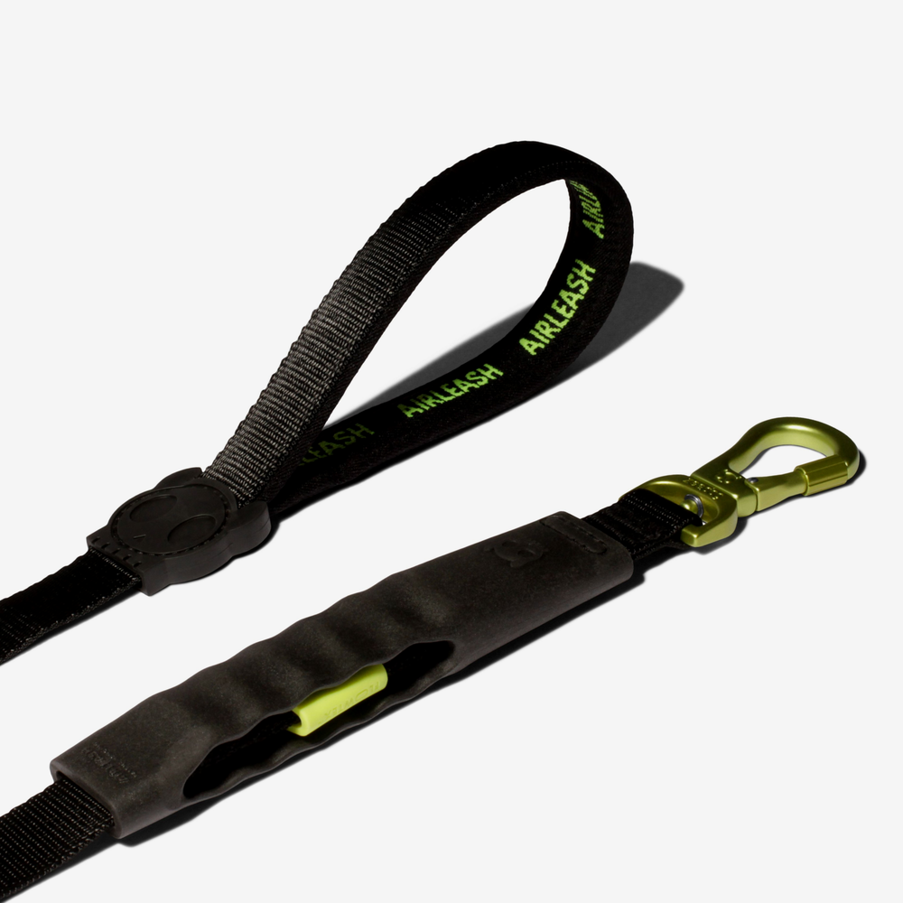 Амортизирующий поводок Air Neon 150 см Zee.Dog