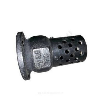 Клапан обратный чугунный фланцевый с приемной сеткой Ду100 Ру2,5 16ч42р