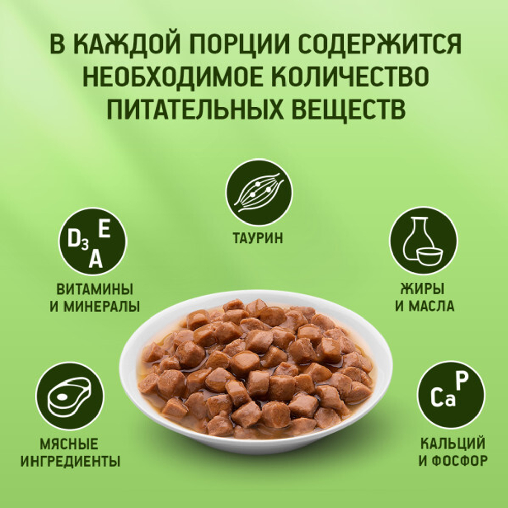 Нежная курочка в соусе влажный корм для кошек KiteKat 85г