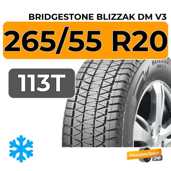 Bridgestone Blizzak DM V3 265/55 R20 113T XL