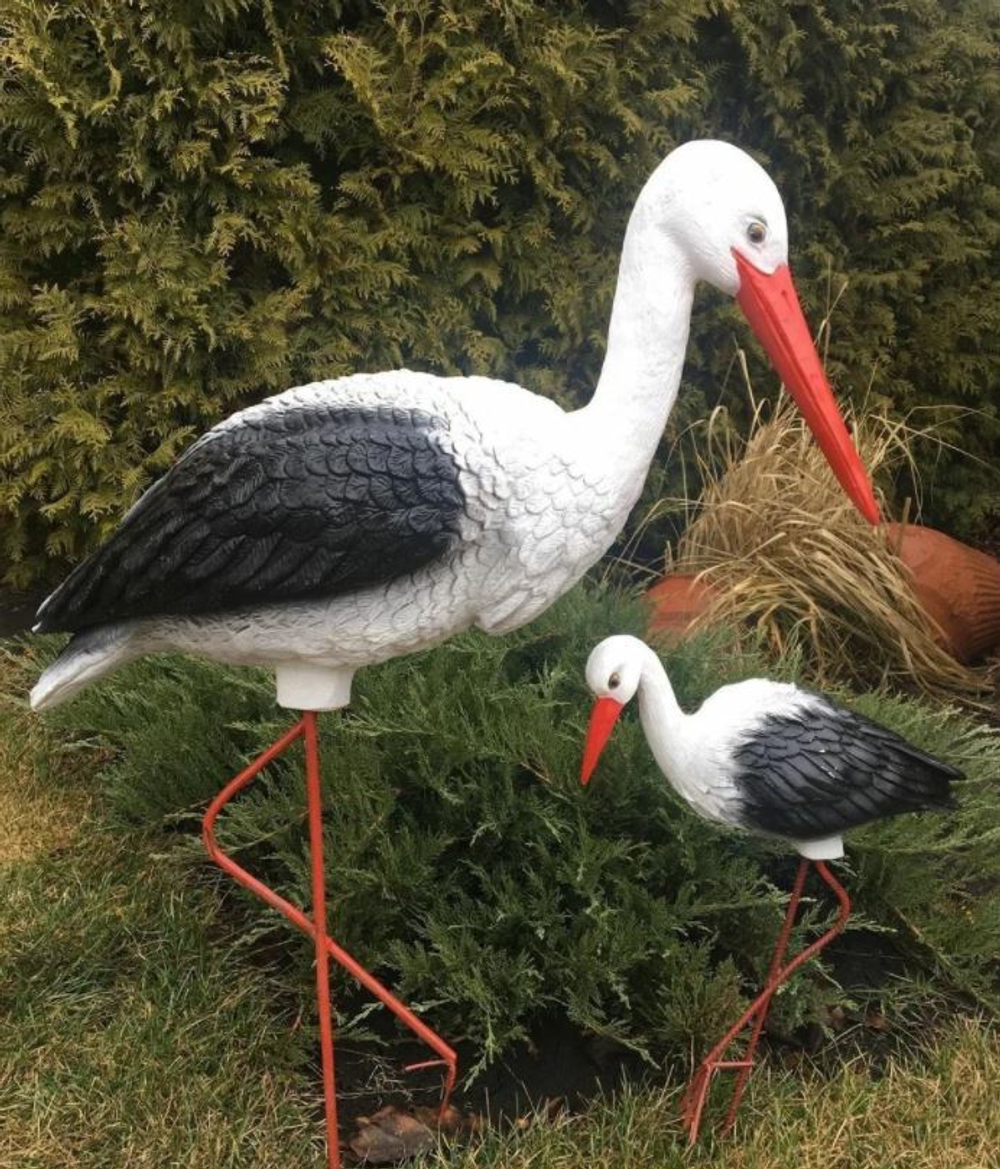 Аист большой и маленький