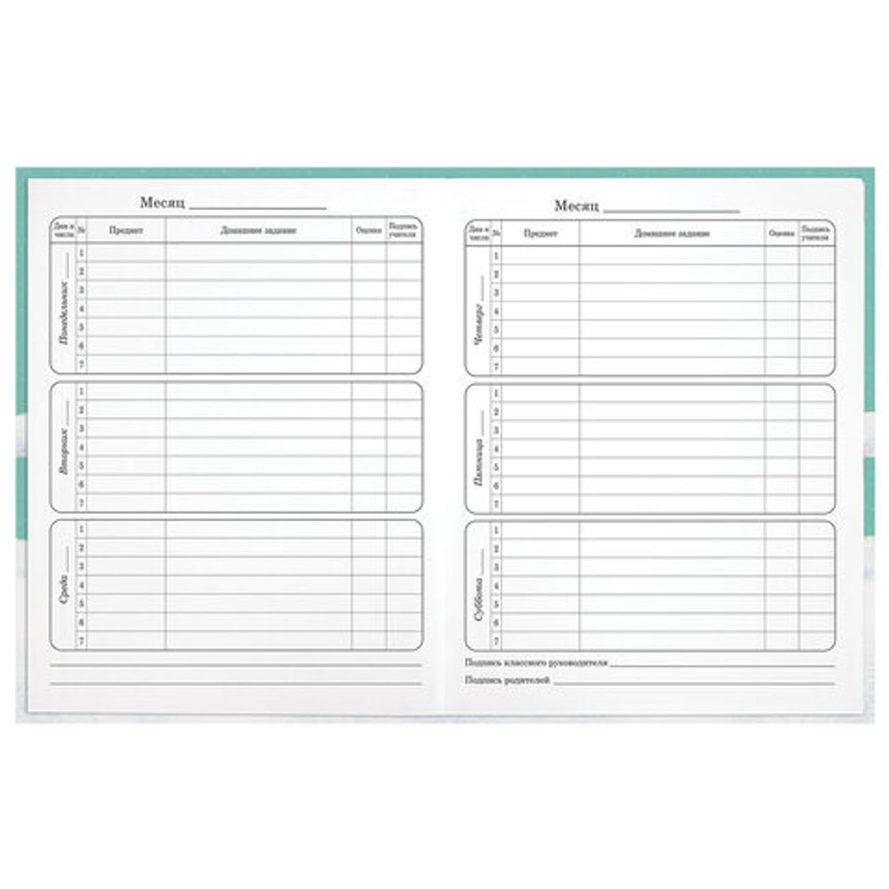 Дневник 1-4 класс 48 л., гибкая обложка, ЮНЛАНДИЯ, выборочный лак, с подсказом, "Вишенки", 106589