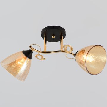 01321-0.3-02 FGD+BK светильник потолочный