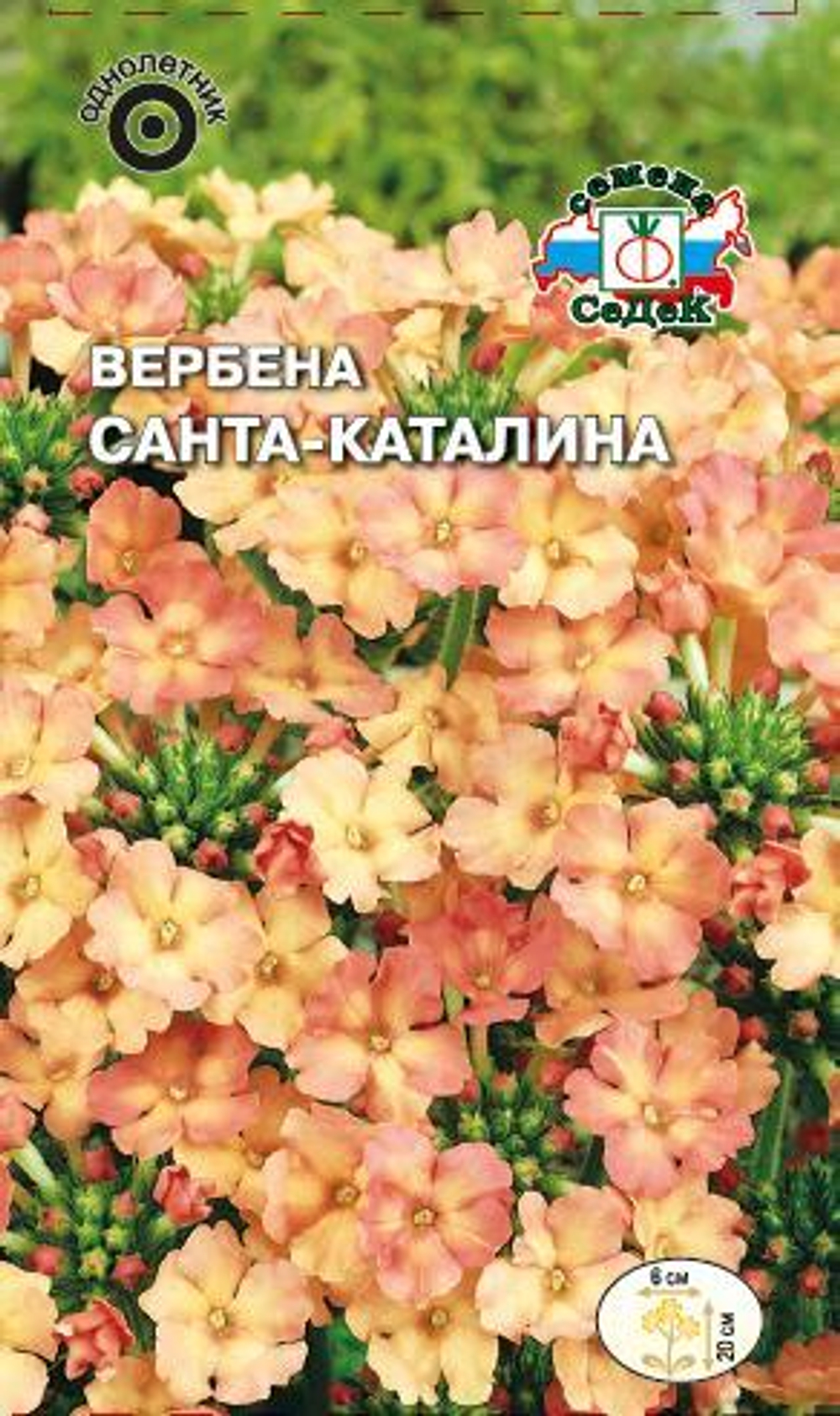 Цв. Вербена Санта-Каталина 0,05г (Седек)