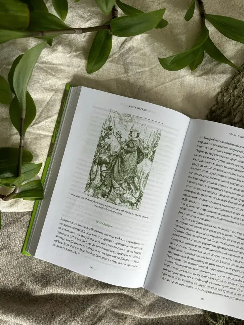 Ирландские мифы. От Племен Богини Дану и Кром Круаха до «кельтских сумерек» и Самайна
