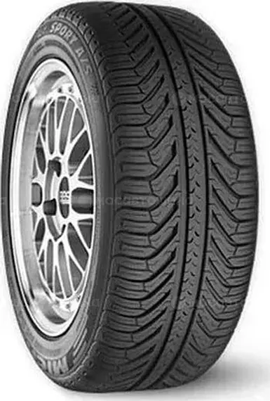 Michelin Pilot Sport A/S Plus 295/35 R20 105V XL