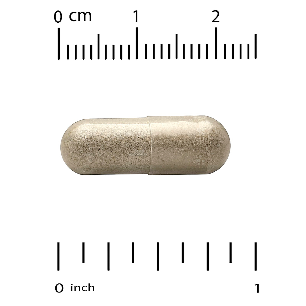 Super Nutrition, органический гриб кордицепс с имбирём, 60 вегетарианских капсул