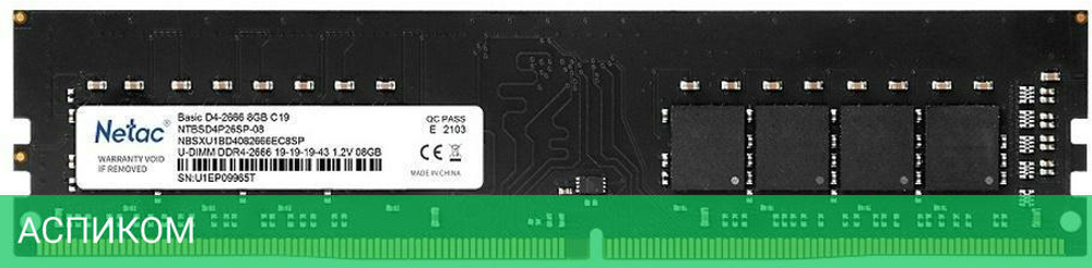 Оперативная память Netac Basic 8GB DDR4 PC4-21300 (NTBSD4P26SP-08)
