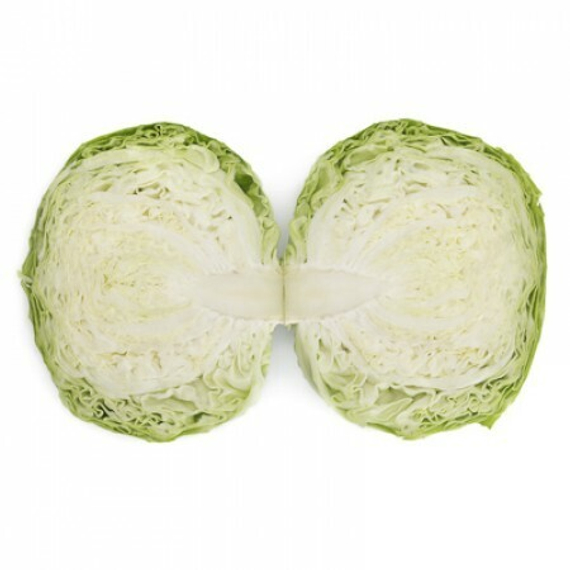 ЗАРИССИМА F1 семена капусты белокочанной Rijk Zwaan отзывы – фото 3