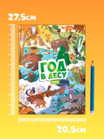 Виммельбух. Круглый год. Год в лесу