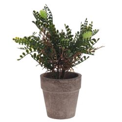 GAEM Цветочная композиция, L9 W9 H18 см, 5в.