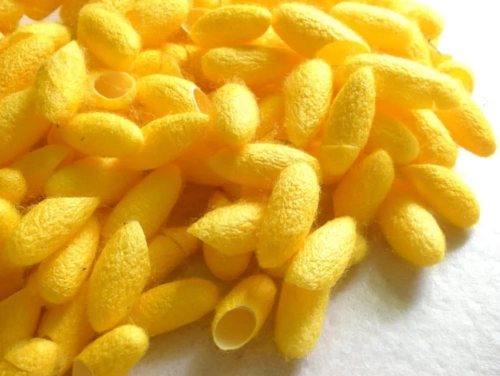 Коконы шелкопряда (желтые) HerbCare