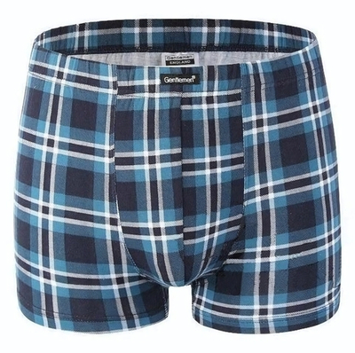 Удобные мужские клетчатые трусы-боксеры (Размер: XXXL) (Цвет: синий с голубым)