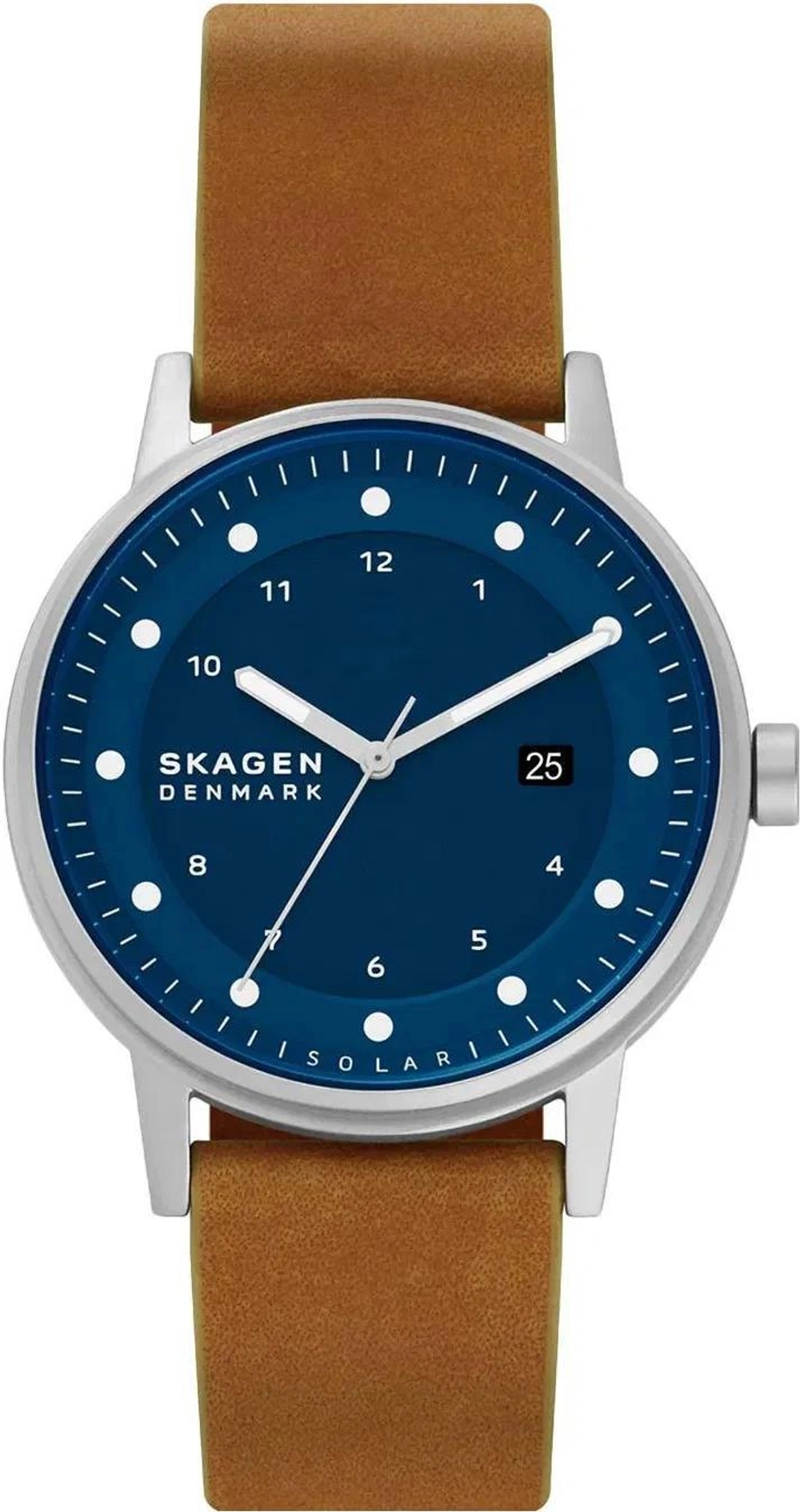 Мужские наручные часы Skagen SKW6739