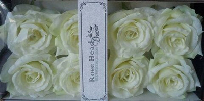 Набор из 8 головок роз белый
