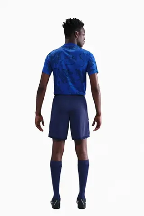 Футболка Nike France 2025 Academy Pro - синий