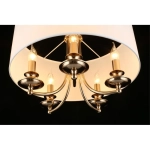 Подвесная люстра Aployt BERZE APL.721.06.05