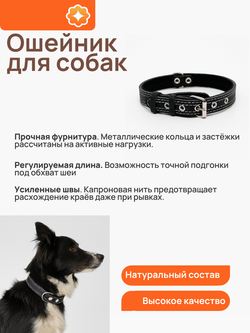Ошейник кожаный для собак средних пород регулируемый черный