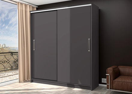Шкаф-купе 2.0 Ричи