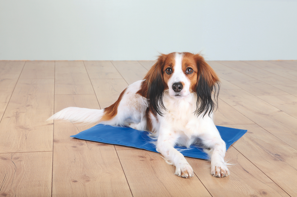 Охлаждающая подстилка для собак Trixie Cooling Mat, размер 90х50см.