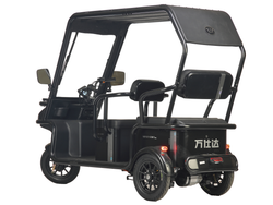 Электротрицикл Wanshida NIPLA 570 (1000Вт, 60B)