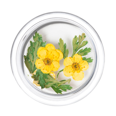 Irisk Сухоцветы в баночке (107)