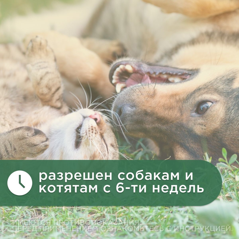 Противопаразитарные ушные капли для кошек, собак и пушных зверей Ципам (Цамакс),10 мл Циперметрин/Амитраз