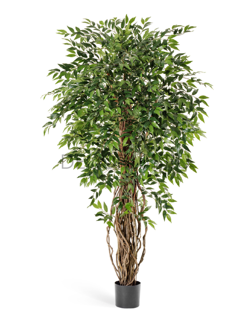 Фикус френч лиана де люкс 180 см 2/2 10.31606N