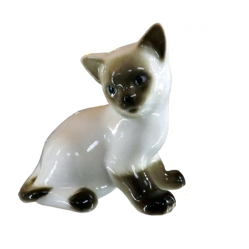 Котёнок Парамоша Сиамский