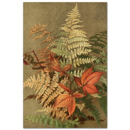 Осенние папоротники. Эллен Фишер