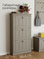 Обувница для прихожей, 66х22х123, Индра, закрытая, тумба для обуви, МДФ, серый, Dipriz