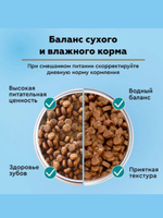 Влажный корм для стерилизованных кошек Secret Life Force (Секрет) 0,085кг говядина в соусе пауч, 24 шт