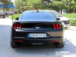 Ford Mustang 7 Generation 2.3 에코부스트 Premium Coupe (03.2024)