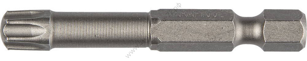 KRAFTOOL X-Drive TX 30, 50 мм, 2 шт, Торсионные биты (26125-30-50-2)