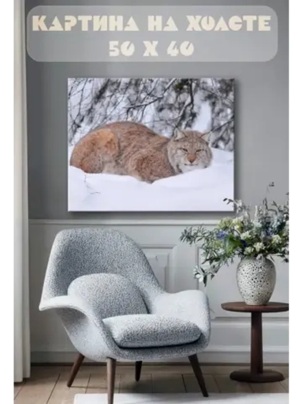 Картина на стену 40 X 50 Рысь