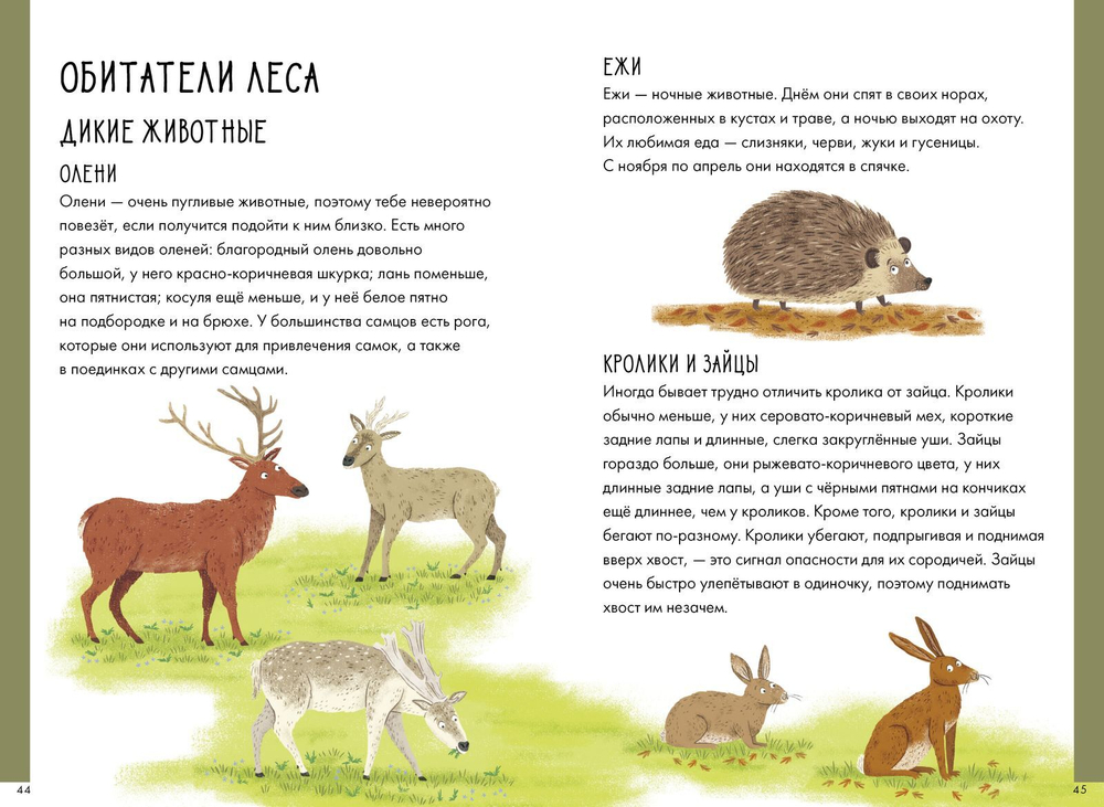 Секреты юного туриста. Поход в лес. 150 секретов юного туриста